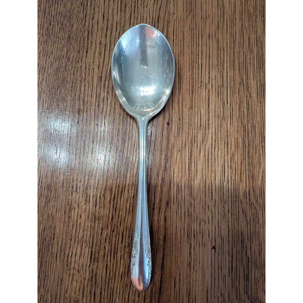 Alvin Plate Silver Plate Silverware Fashion Lane Sugar Spoon
